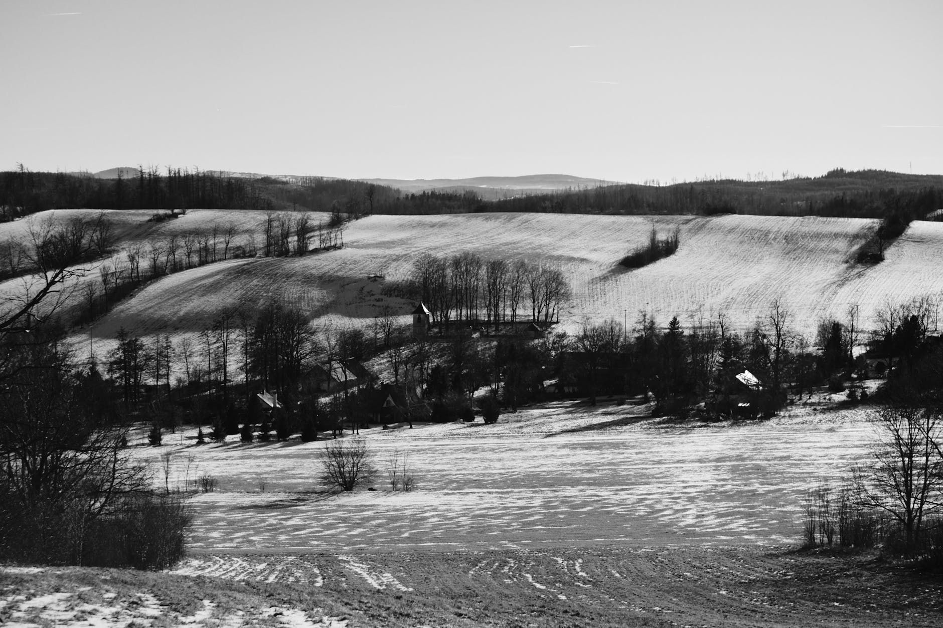 Czarno-biały zimowy krajobraz z polami i nagimi drzewami